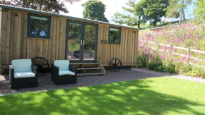 Little Acorn - Luxury shepherd's hut / lodge with private hot tub and garden